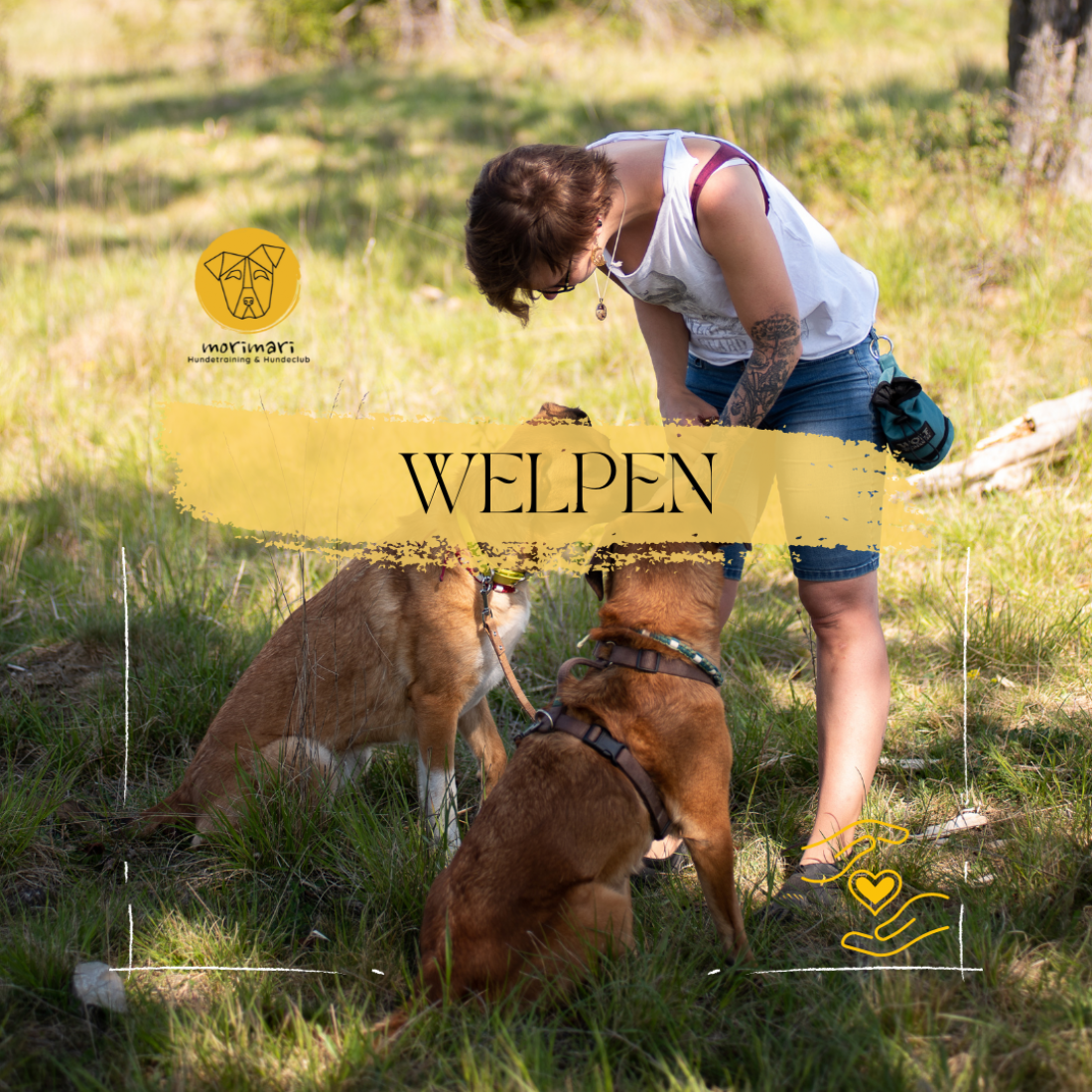Welpentraining