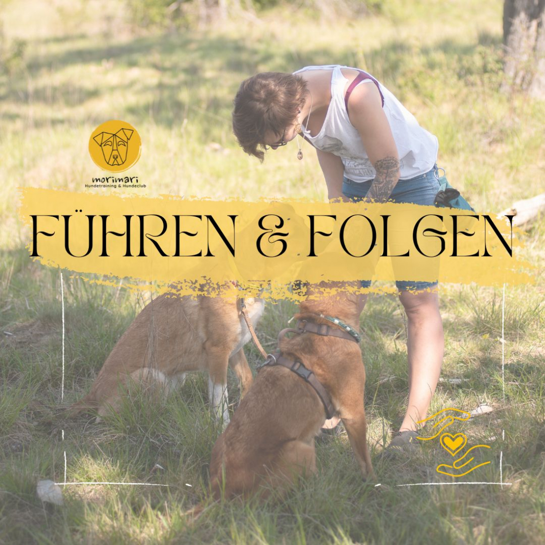 Führen & Folgen