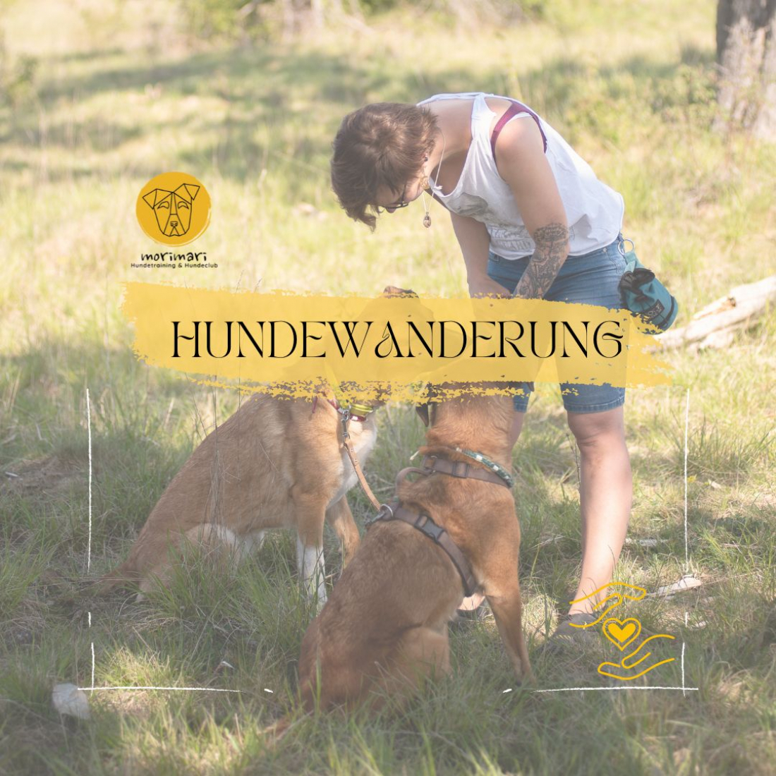 Hundewanderung
