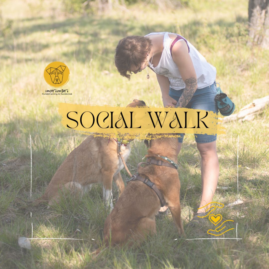 Social Walk