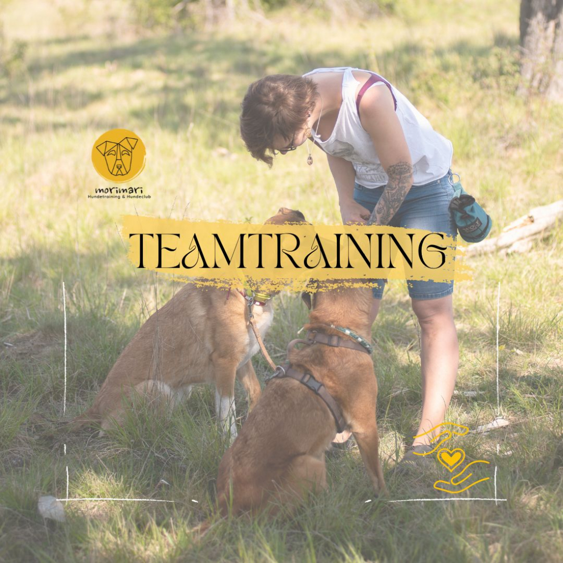 Teamtraining III