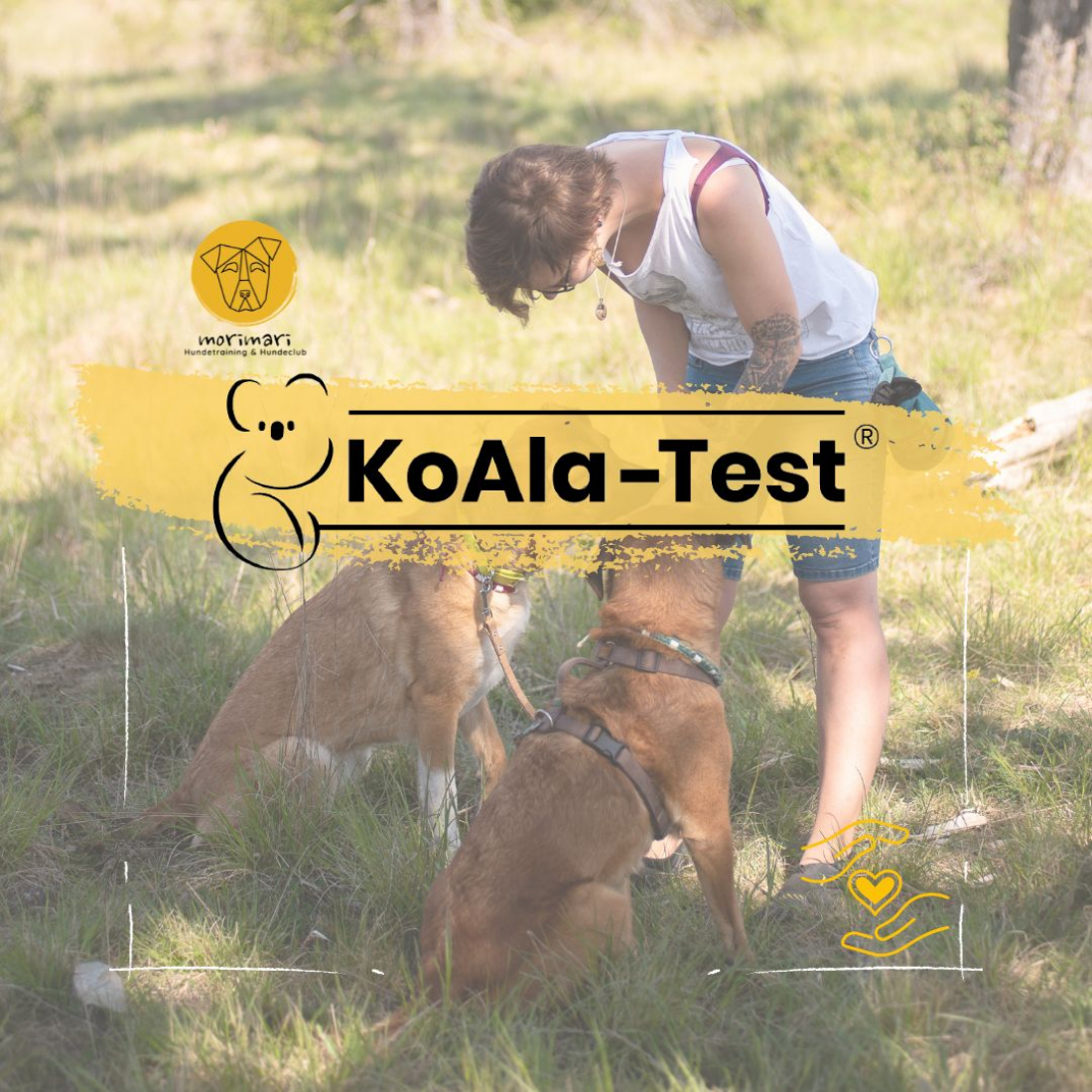 KOALA- Test®