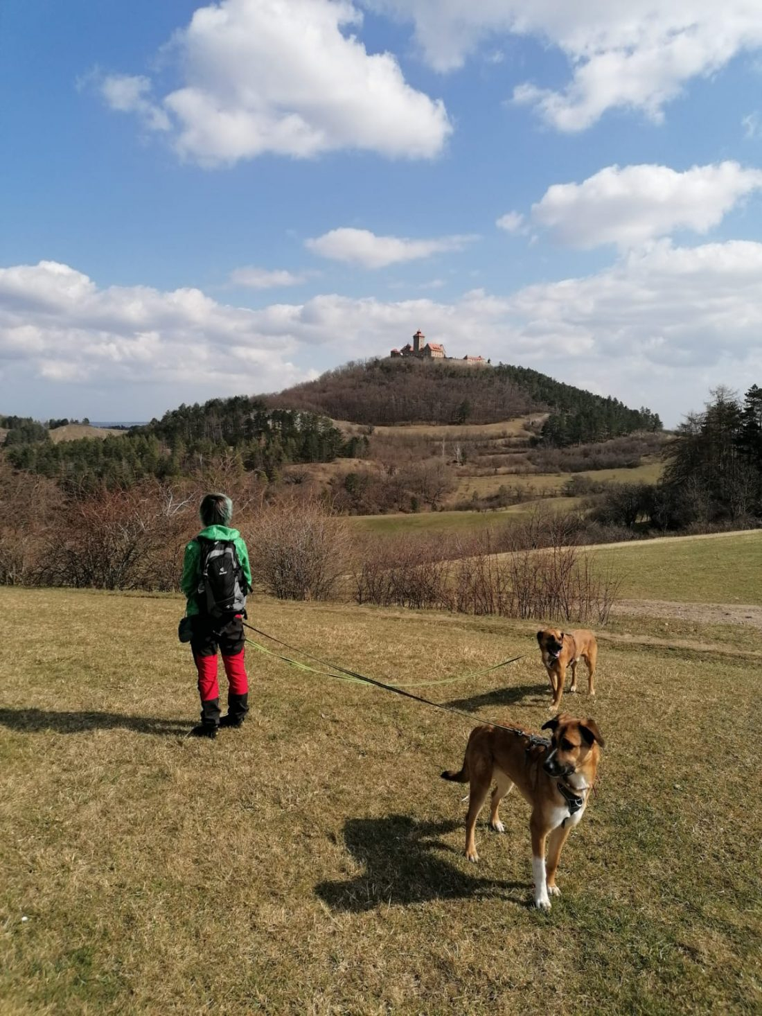 Hundewanderung